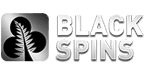 Black Spins Casino Logo